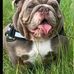 Jamie Watts - Facebook