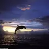 Jamie Watts - @jayme.43 - TikTok