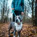 Jamie Wright - Facebook