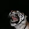 Aaron Jamie - @aaron.jamie4 - TikTok