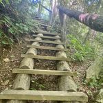 Jamie Abrams - @jamie_abrams - Instagram