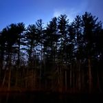 Jamie - @jamie__abramson - Instagram