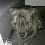 Jamie Akers - @jamie_akers - Instagram