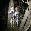 jamieamerson3 - @jamieamerson3 - TikTok