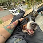 Jaime Andrés Múnera Sierra 🦬🦏🦍 - @j.andres_munera_sierra - Instagram