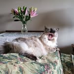 Jamie Andres - @jamie.andres.71 - Instagram