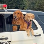 Jamie Atkinson Hamrick - @k9_connor - Instagram