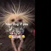 jamieatkinson00 - @clips.fn03 - TikTok