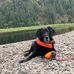 Jamie Ault - Facebook