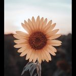 Jamie Bach - @colorlight2019 - Instagram