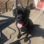 Jamie Balcom - @yeti_603 - Instagram