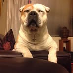 Jamie Barham - Facebook