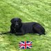 Jamie Bartholomew - Facebook