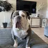 Jamie - @jamie.basham - TikTok
