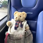 Jamie Bear - @jamiebearadventures - Instagram