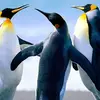 jamie benedict - @jamie.benedict0 - TikTok