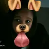 @jamie5bester - TikTok