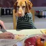 Jamie Bishop - @jamiebishopfa - Instagram
