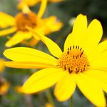 Jamie Blalock - @jblalockphotography - Instagram