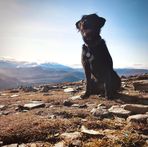 James Blott - Facebook