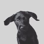 Jamie blott - @blottjamie - Instagram