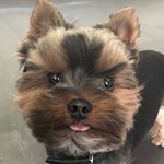 Jamie Blue - @jamieblueofficial - Instagram