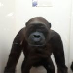 @jamie_bobbaker - Instagram