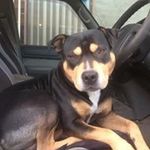 Jamie - @jamie_bobbin - Instagram