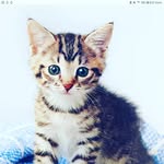 anonym91 - @bohrerjamie - Instagram