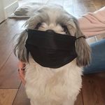 Jamie - @jamie_boomer - Instagram