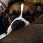 Jamie Lynn Boring - @iggyboring2005 - Instagram
