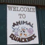 Jamie Bork - @animalquackersfarm - Instagram