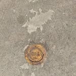 Jamie Bourgoin - @jamie.bourgoin - Instagram