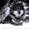 Jamie_Brazell67 - @jamiebrazell67 - TikTok