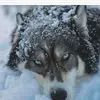 Jamie_brazell - @jamiebrazell124 - TikTok