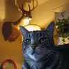 Jamie Bridges - @jamison.bridges8 - TikTok