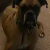 Jamie Bridges - @jamie.bridges.2 - TikTok