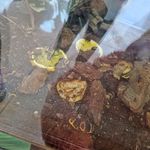 jamie brinkley - @ourjourneyhe - Instagram