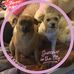 Jamie Brophy - Facebook