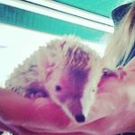 Jamie brunt - @jamiebrunt99 - Instagram