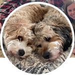 Jamie Brunt Hamilton - @jamiebrunthamilton - Instagram