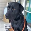 Jamie Brush - @jamiebrush63 - TikTok