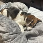 Jamie Brust - @jbrust77 - Instagram