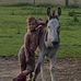 Jamie Bruton - Facebook