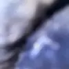 jamiebryce10 - @jamiebryce100 - TikTok