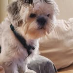 Jamie Thain - @jamie_buddy_3 - Instagram