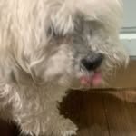 Jamie Budgen - @jamiebudgen2020 - Instagram