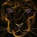 Jamie Busch - Facebook