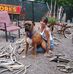 Jamie Busch - Facebook