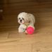 Jamie Catlin - Facebook